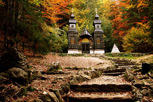 this is ALT attribute value